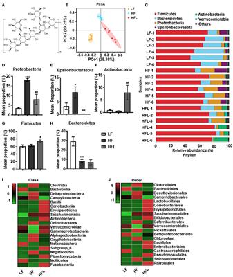 Lentinan Supplementation Protects the Gut–Liver Axis and Prevents Steatohepatitis: The Role of Gut Microbiota Involved
